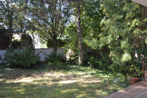 Bild12