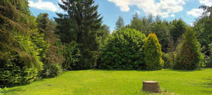 Bild17